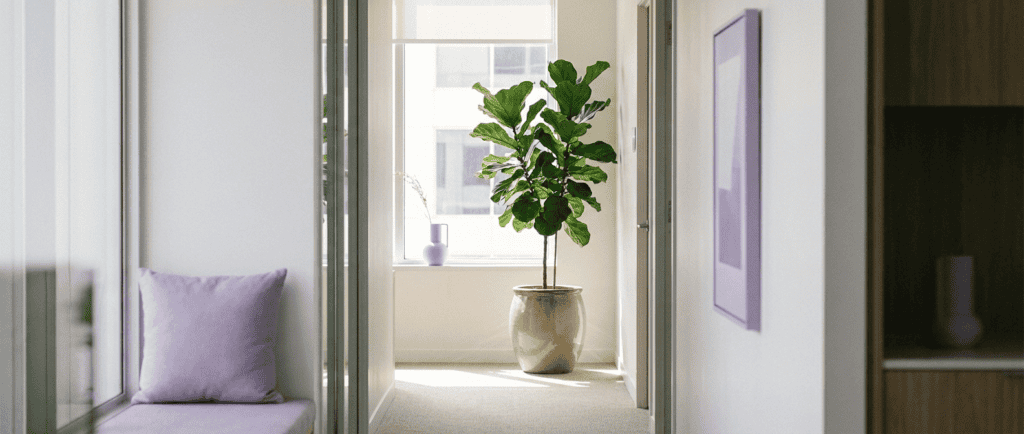 Harcèlement au travail : Couloir de bureaux avec plante verte, lumière naturelle au bout du couloir