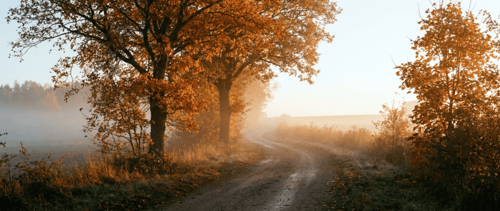 Difficultés sexuelles chez l'homme : Chemin de campagne sortant de la brume vers une lumière dorée, arbres aux feuilles orangées